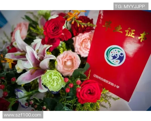与李丽畅谈飞盘生涯的点滴与成长之路